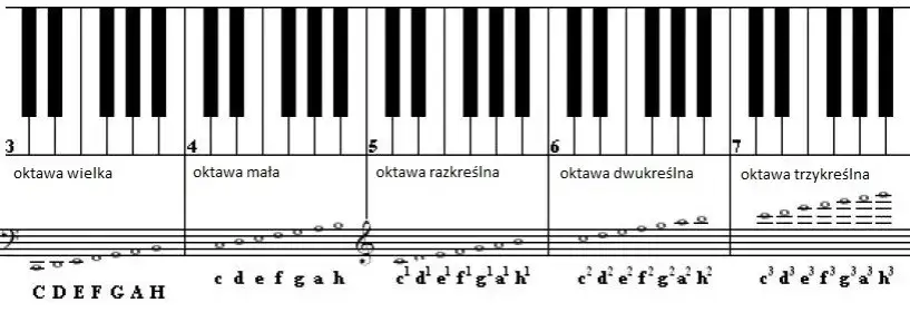 Układ klawiatury keyboardu i nuty C